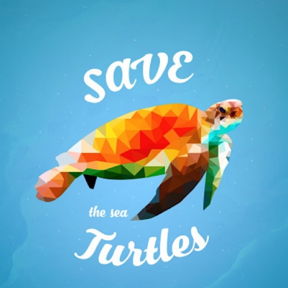 “Just Keep Swimming” Turtle Diamond Gem Earrings - Picture 9 of 11